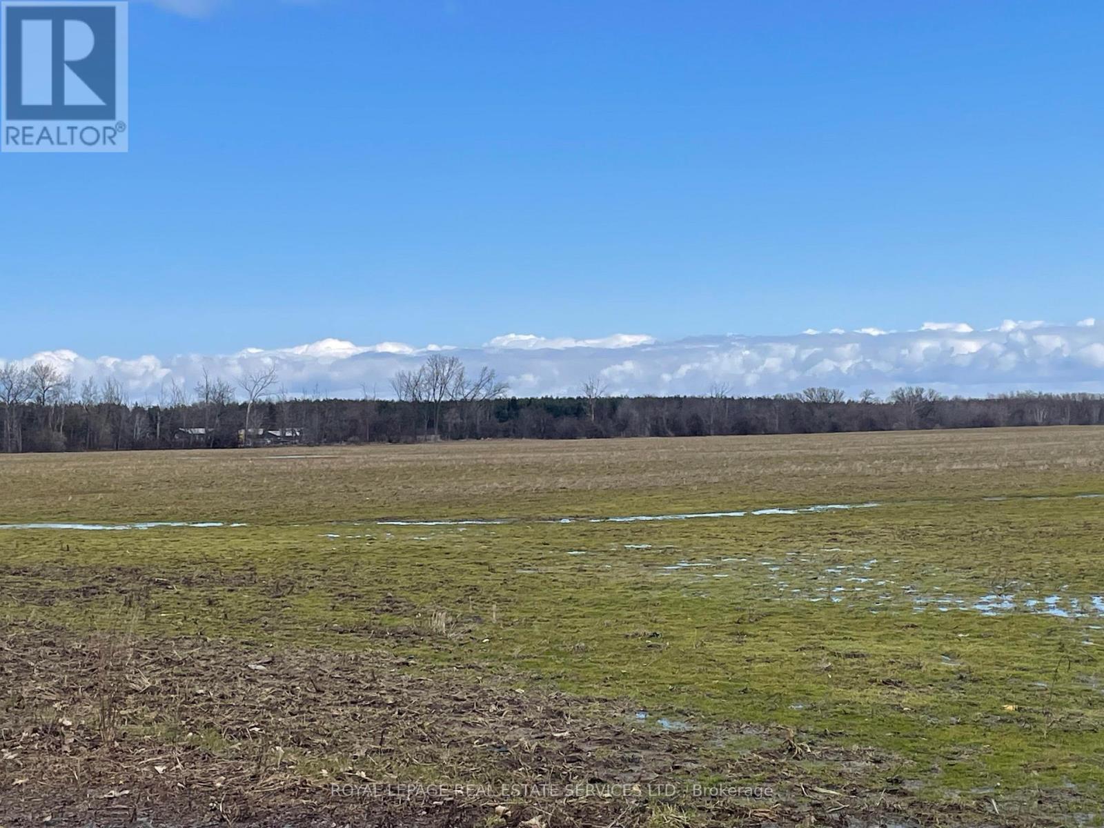 2103 N Nottawasaga Concession 6, Clearview, Ontario  L0M 1S0 - Photo 8 - S12917060