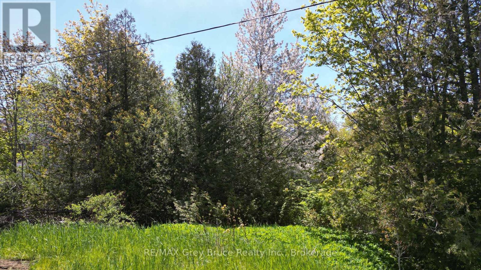 Pt Lt 30 Con 5 Ebr Pt 4 Isthmus Bay Road, Northern Bruce Peninsula, Ontario  N0H 1W0 - Photo 15 - X12962296