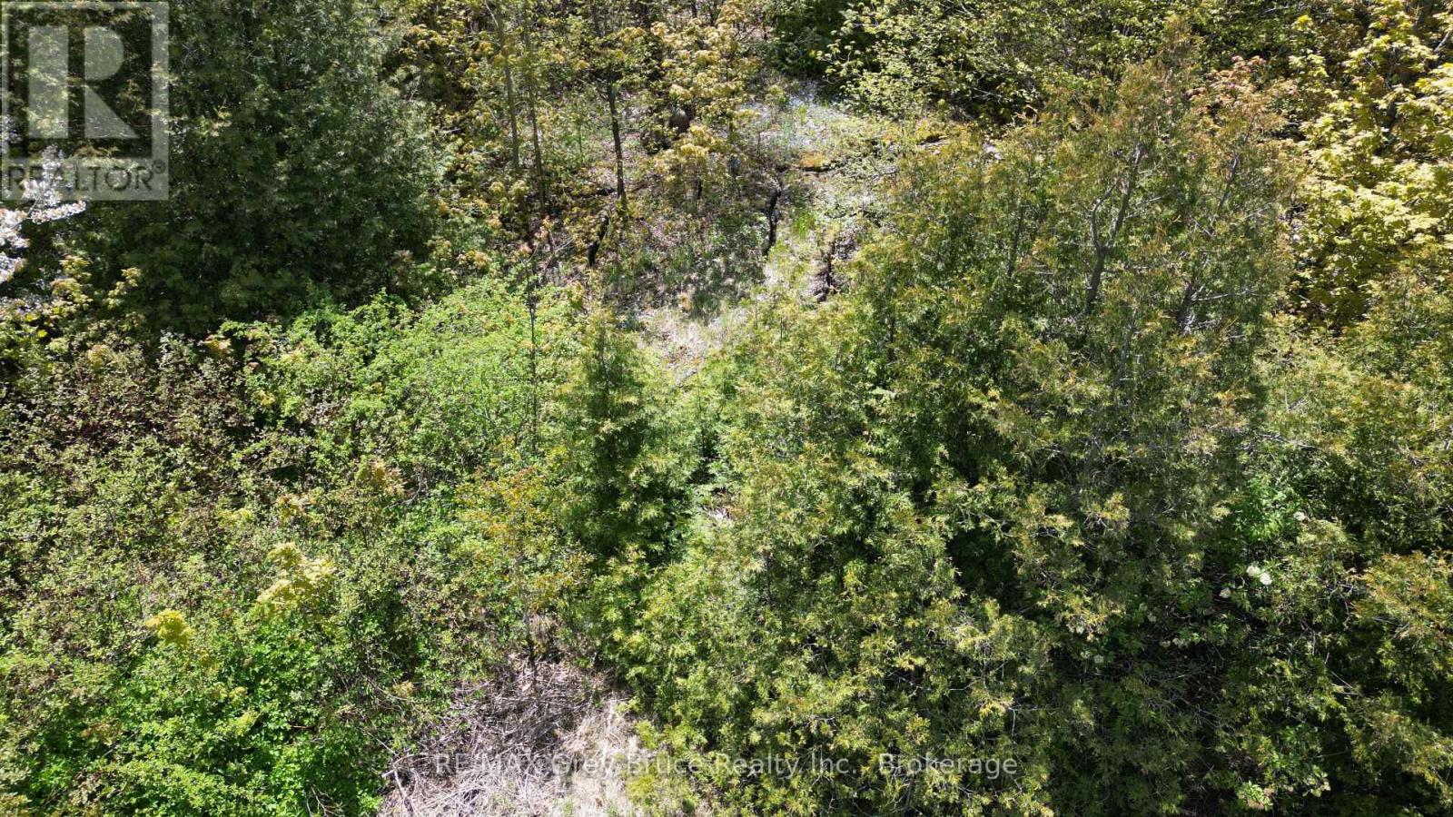 Pt Lt 30 Con 5 Ebr Pt 4 Isthmus Bay Road, Northern Bruce Peninsula, Ontario  N0H 1W0 - Photo 9 - X12962296