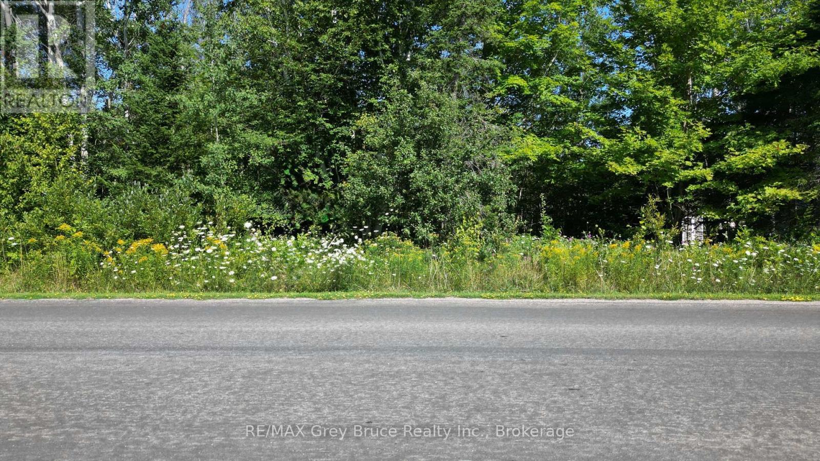 Part 28 Maple Drive, Northern Bruce Peninsula, Ontario  N0H 1Z0 - Photo 4 - X12962302