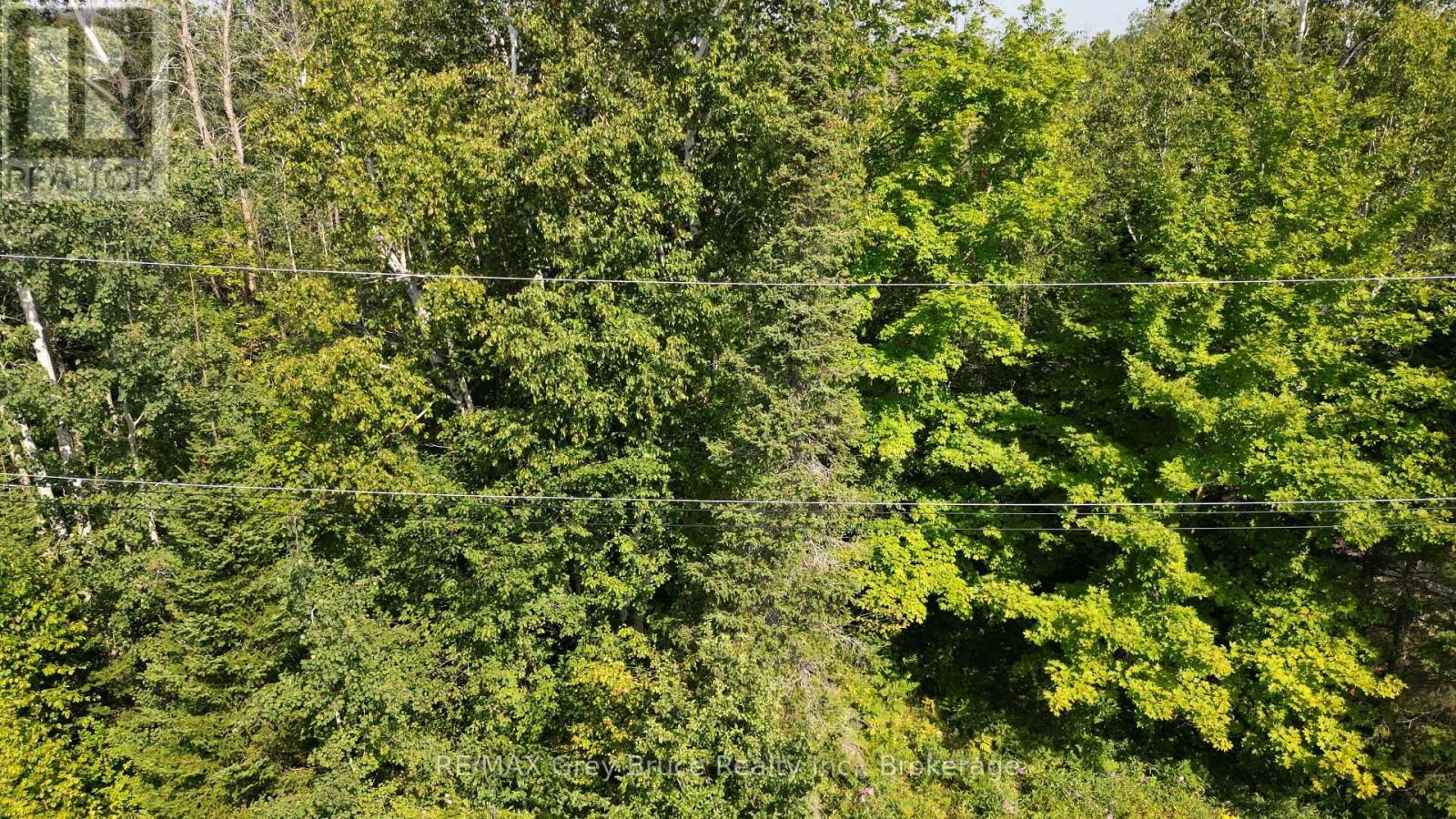 Part 28 Maple Drive, Northern Bruce Peninsula, Ontario  N0H 1Z0 - Photo 6 - X12962302