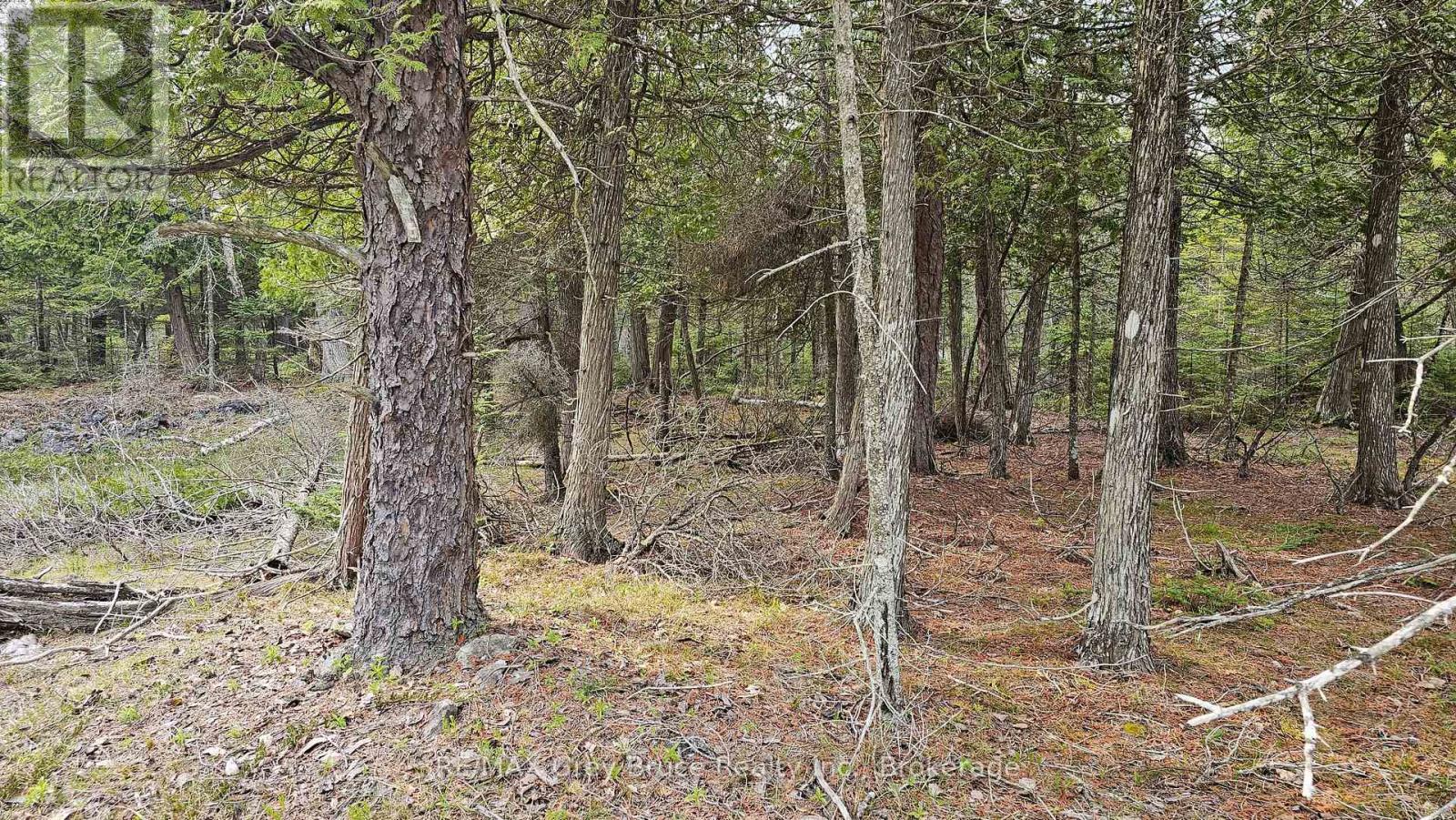 LT 255 PEDWELL PT. DRIVE, Northern Bruce Peninsula, Ontario