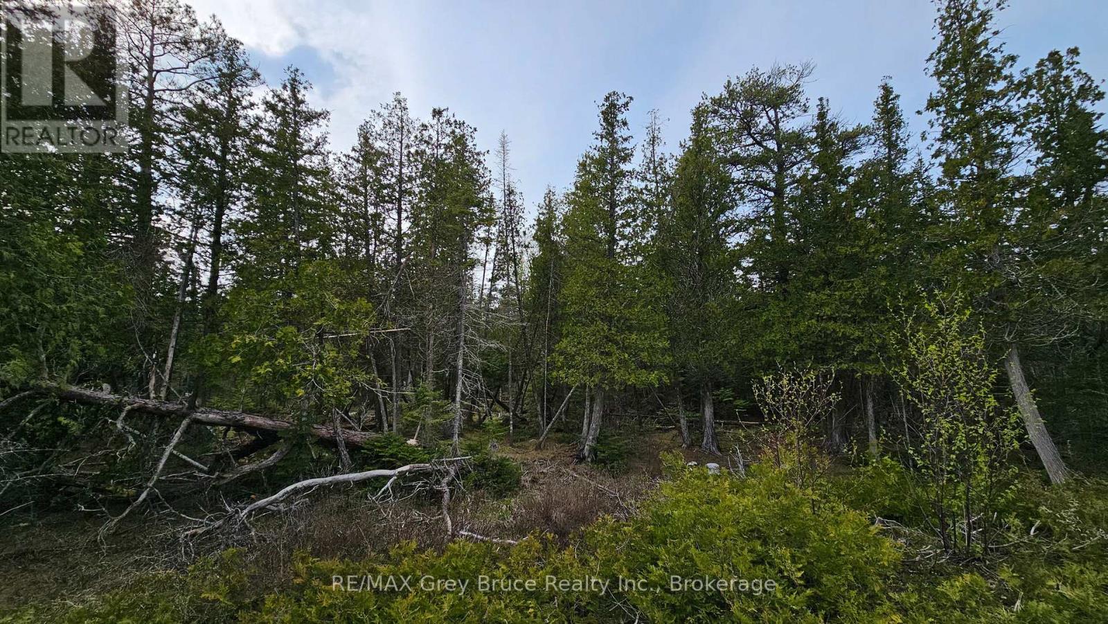 Lt 255 Pedwell Pt. Drive, Northern Bruce Peninsula, Ontario  N0H 2R0 - Photo 10 - X12962310