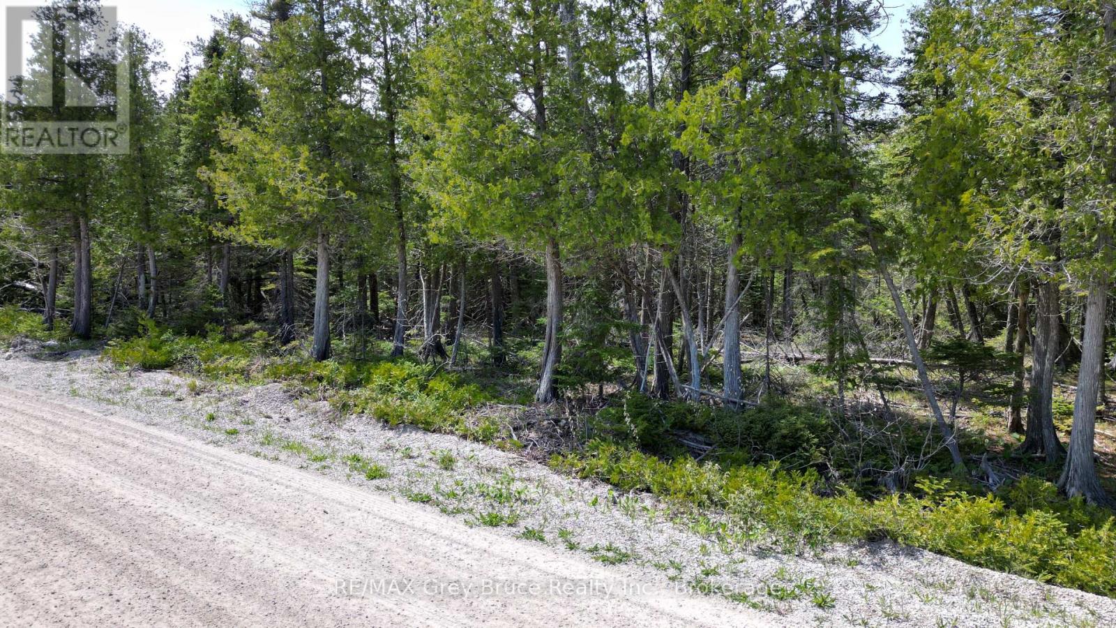Lt 255 Pedwell Pt. Drive, Northern Bruce Peninsula, Ontario  N0H 2R0 - Photo 16 - X12962310