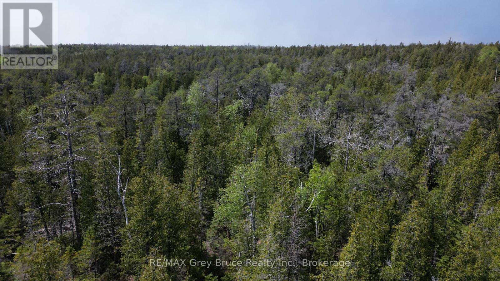 Lt 255 Pedwell Pt. Drive, Northern Bruce Peninsula, Ontario  N0H 2R0 - Photo 20 - X12962310