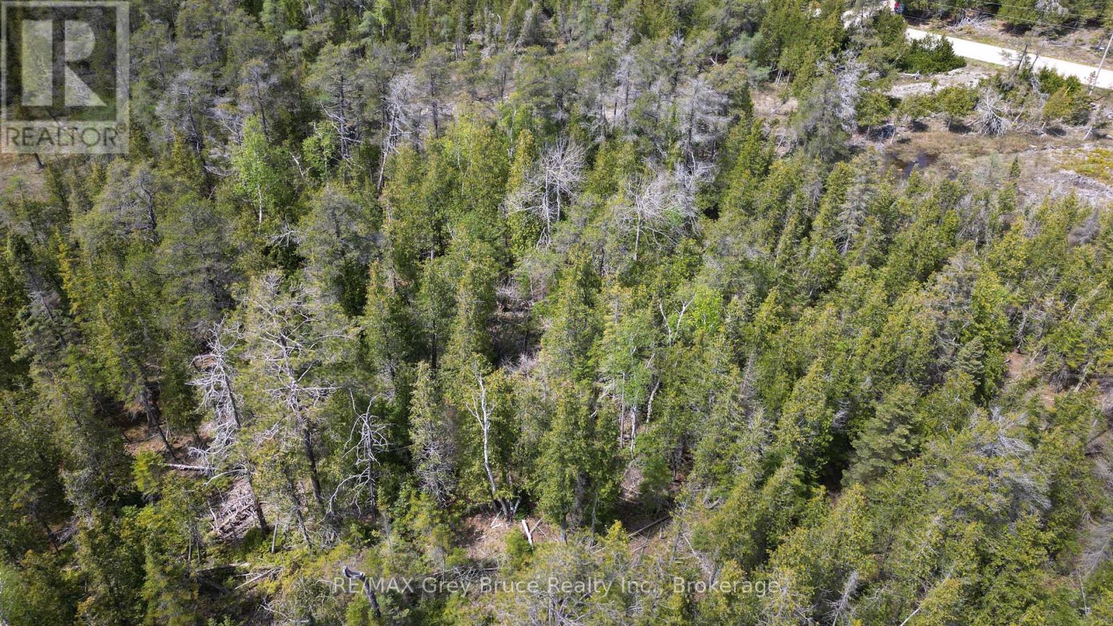 Lt 255 Pedwell Pt. Drive, Northern Bruce Peninsula, Ontario  N0H 2R0 - Photo 23 - X12962310