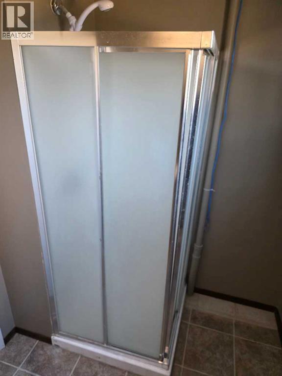 5033 48 Street, Sedgewick, Alberta  T0B 4C0 - Photo 21 - A2262440