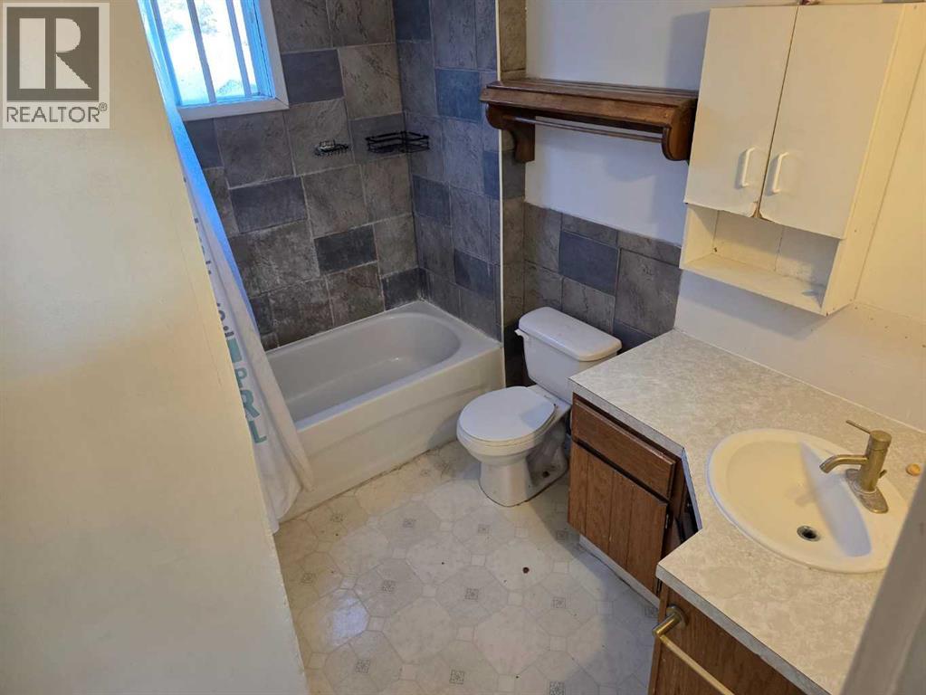5033 48 Street, Sedgewick, Alberta  T0B 4C0 - Photo 14 - A2262440