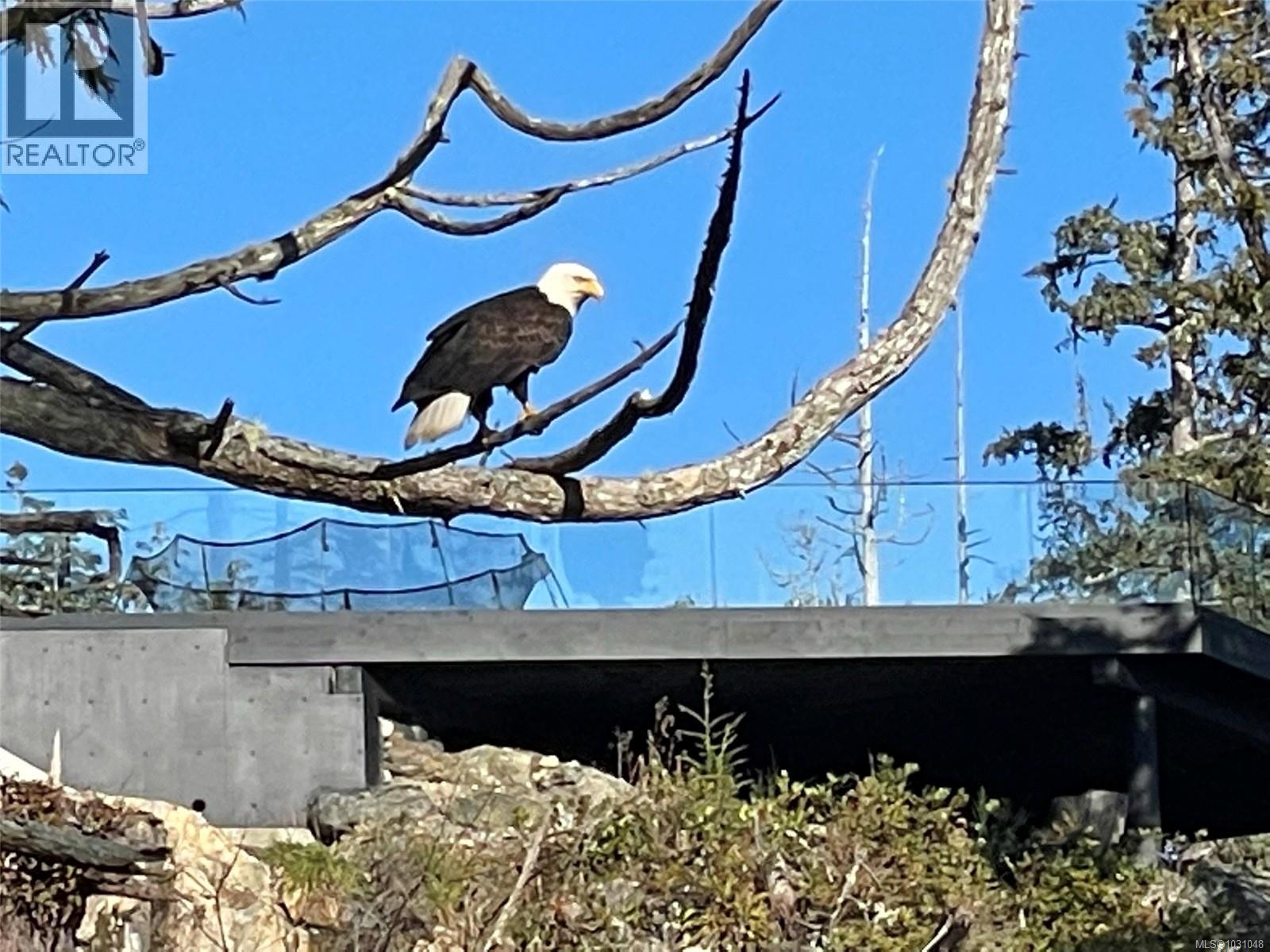 Lot 12 Marine Dr, Ucluelet, British Columbia V0R 3A0 - Photo 16 - 1031048