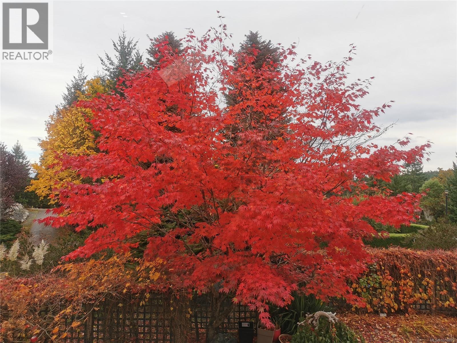 2375 Glenellen Pl, Nanoose Bay, British Columbia  V9P 9G3 - Photo 92 - 1018823