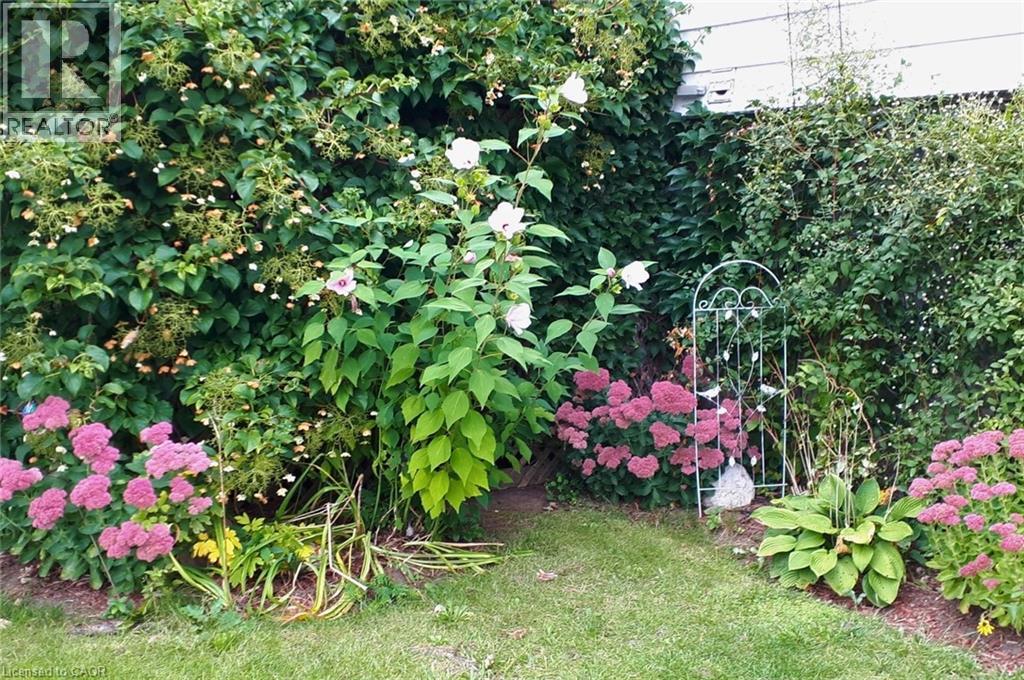 273 Thaler Avenue, Kitchener, Ontario  N2A 1R7 - Photo 31 - 40815709