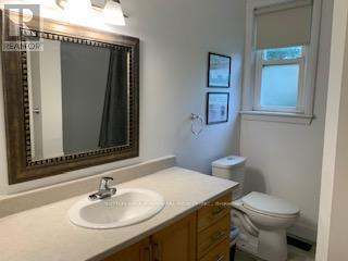 101 Merna Avenue, Hamilton, Ontario  L8S 2L1 - Photo 17 - X12962540