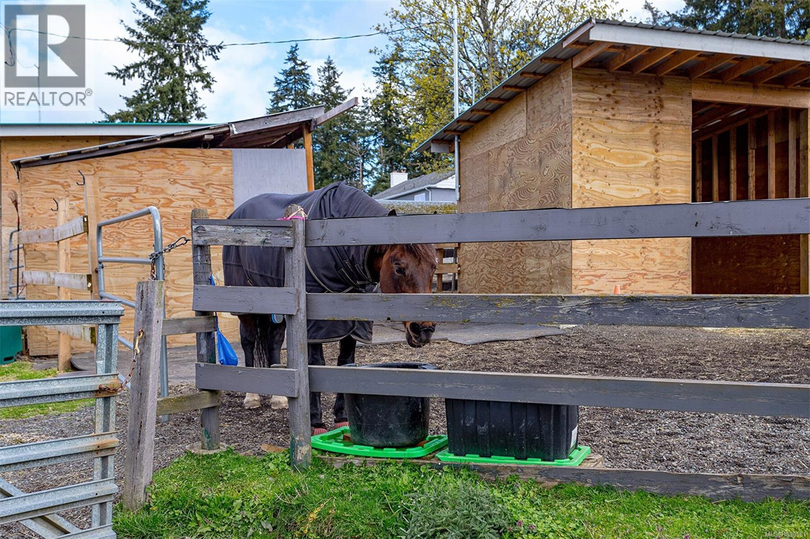 4040 Holland Ave, Saanich, British Columbia  V8Z 5K1 - Photo 74 - 1030581