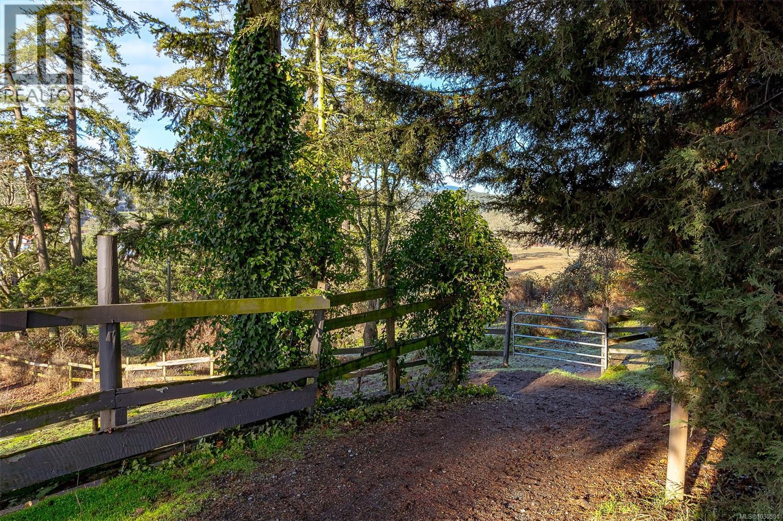 4040 Holland Ave, Saanich, British Columbia  V8Z 5K1 - Photo 76 - 1030581