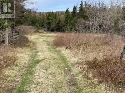 173a Highway East, Victoria, Newfoundland & Labrador  A0A 4G0 - Photo 3 - 1295605
