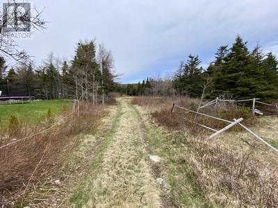 173a Highway East, Victoria, Newfoundland & Labrador  A0A 4G0 - Photo 4 - 1295605