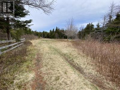 173a Highway East, Victoria, Newfoundland & Labrador  A0A 4G0 - Photo 5 - 1295605
