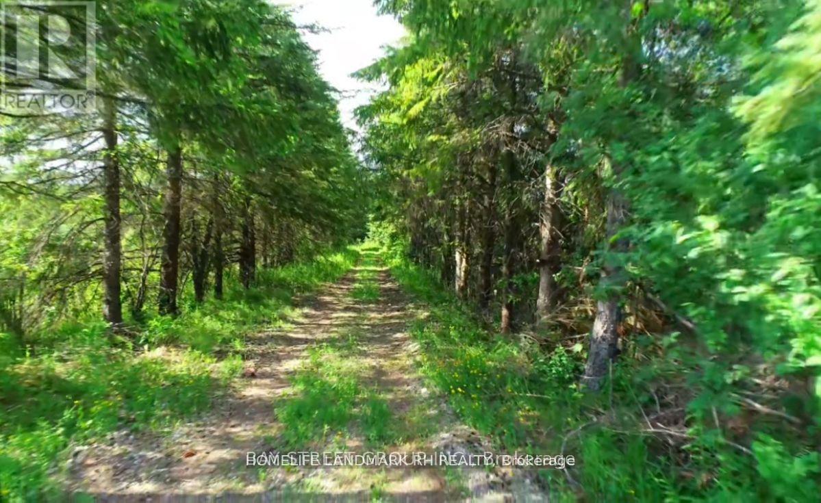 4870 Elgin Mills Road E, Markham, Ontario  L6C 1L5 - Photo 5 - N12962598