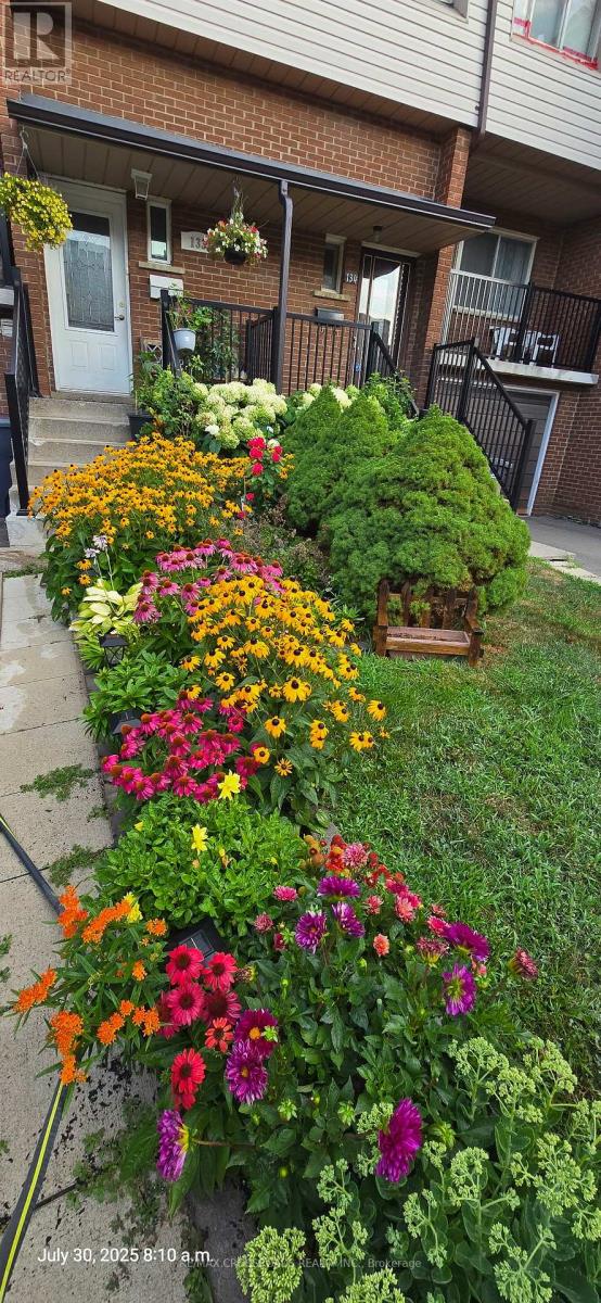 133 - 3175 Kirwin Avenue, Mississauga (Cooksville), Ontario  L5A 3M4 - Photo 35 - W12962550