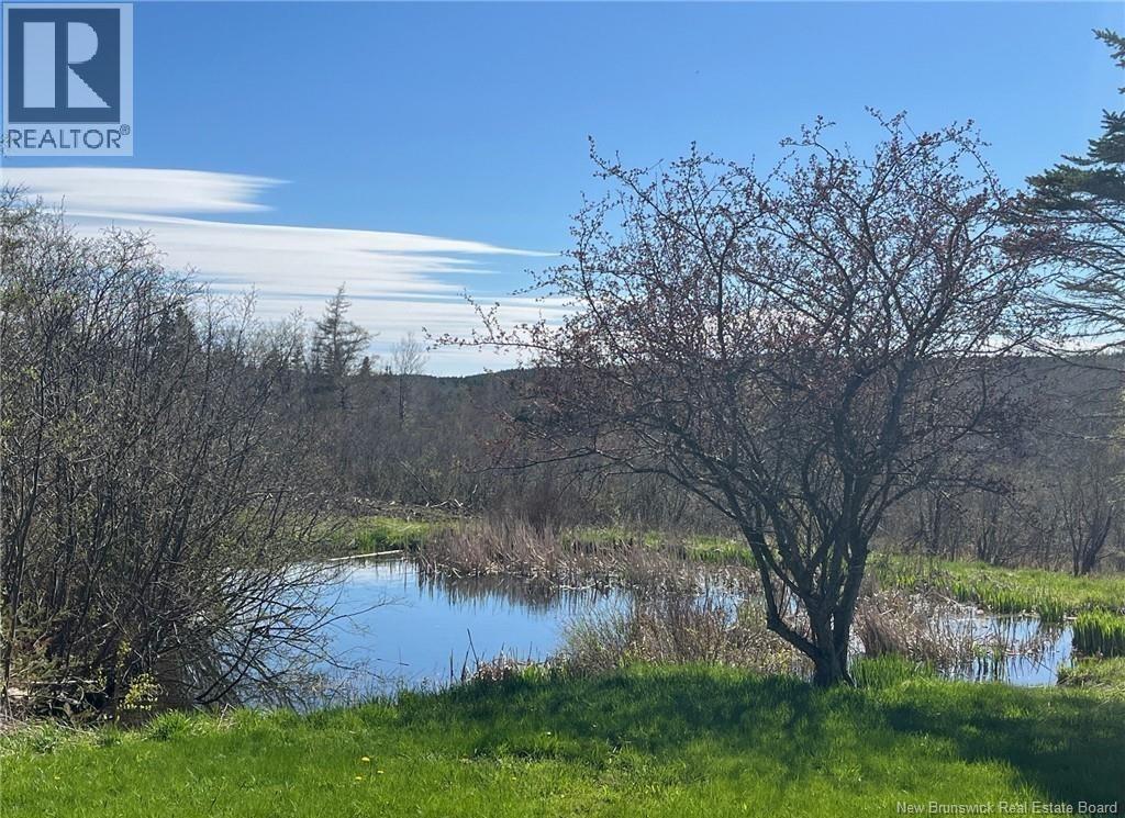 386 Route 915, Harvey Bank, New Brunswick  E4H 2M2 - Photo 23 - NB136536