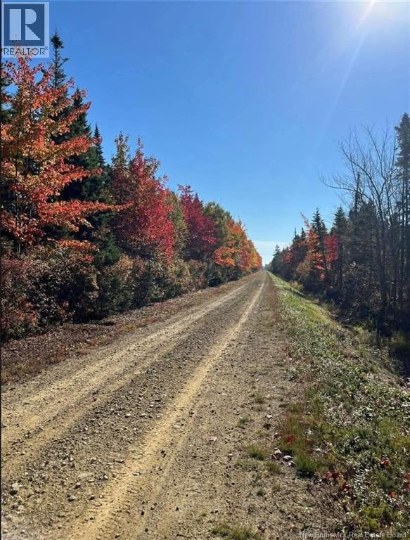 25.44 Acres Ben Allain Street, Neguac, New Brunswick  E9G 1B4 - Photo 3 - NB136496