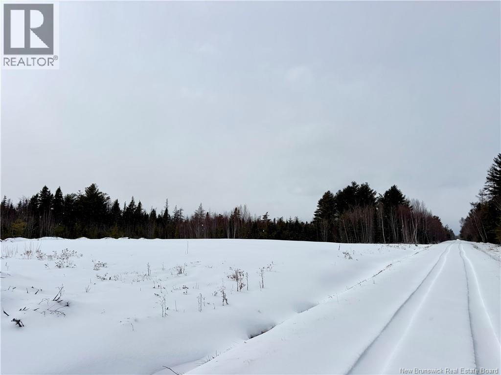 25.44 Acres Ben Allain Street, Neguac, New Brunswick  E9G 1B4 - Photo 4 - NB136496