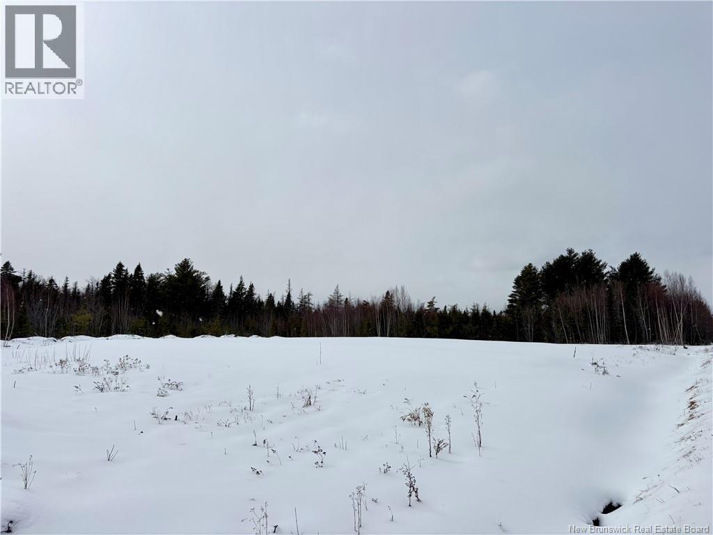25.44 Acres Ben Allain Street, Neguac, New Brunswick  E9G 1B4 - Photo 5 - NB136496