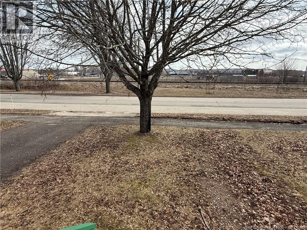 242 Maple Avenue, Sussex, New Brunswick  E4E 2N2 - Photo 5 - NB136411