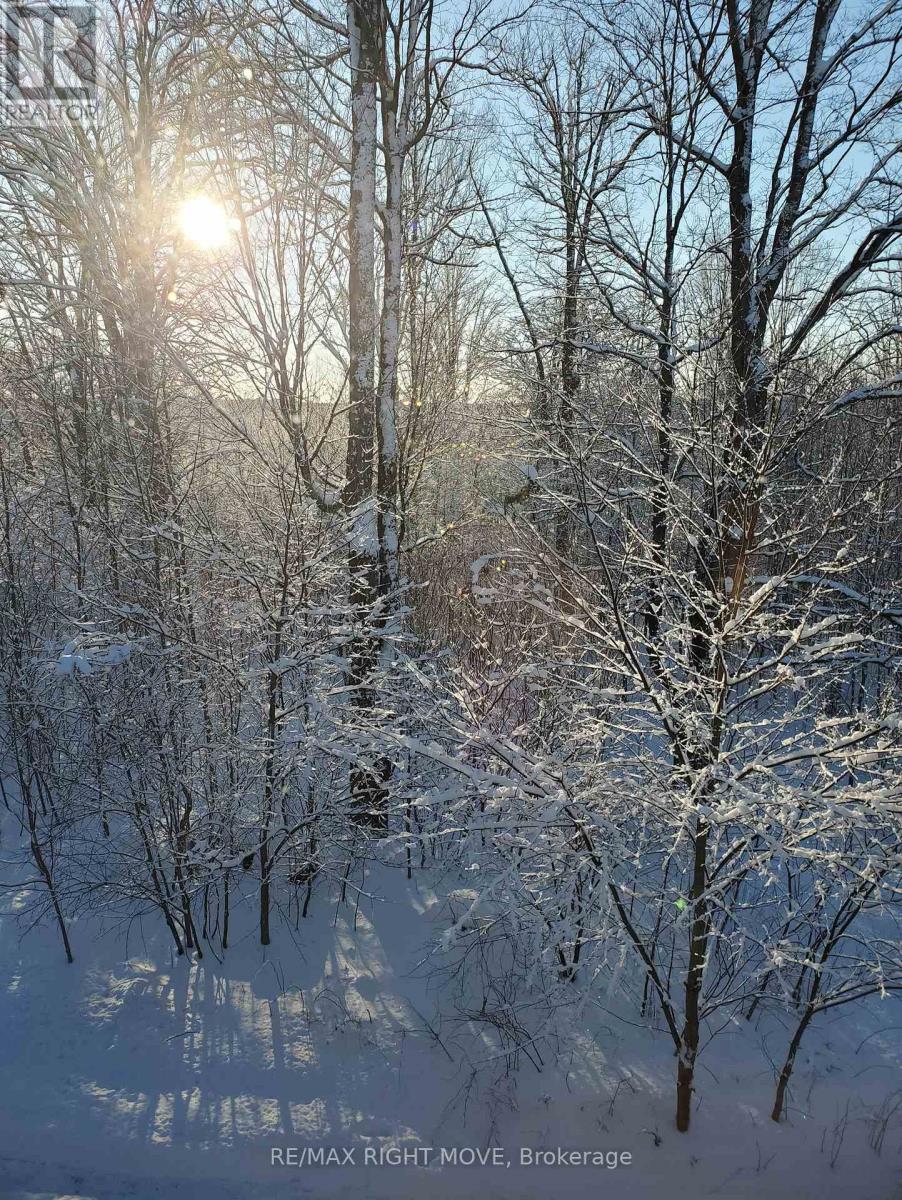 2018 Uhthoff Line, Severn, Ontario  L3V 7E9 - Photo 15 - S12962856