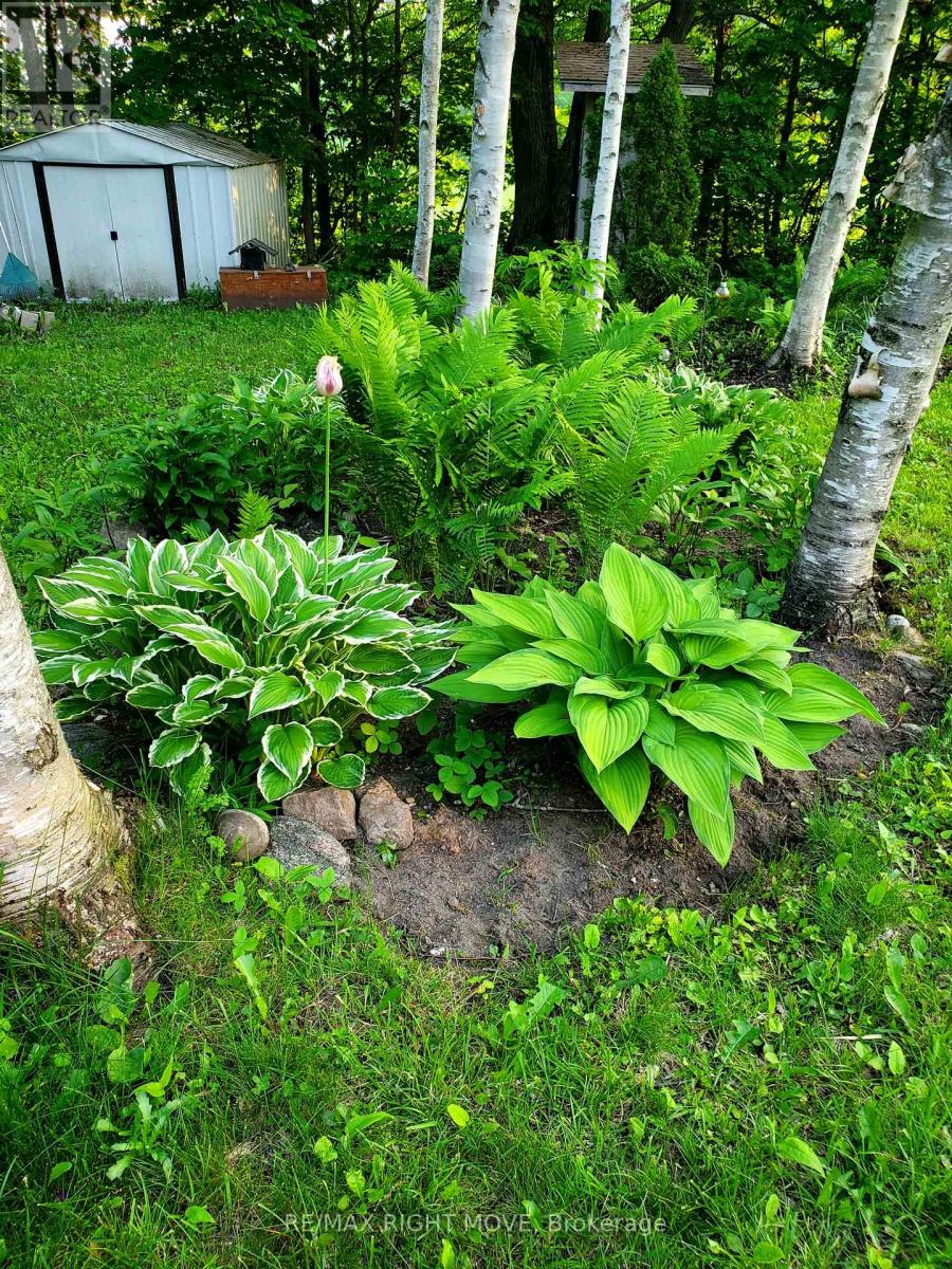 2018 Uhthoff Line, Severn, Ontario  L3V 7E9 - Photo 39 - S12962856