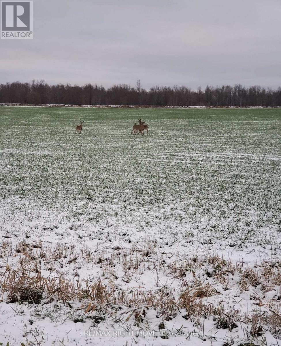2018 Uhthoff Line, Severn, Ontario  L3V 7E9 - Photo 42 - S12962856
