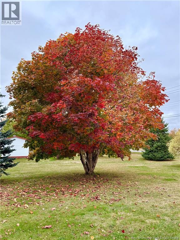 733 Morrison, Dunlop, New Brunswick  E8K 2M8 - Photo 36 - NB136491