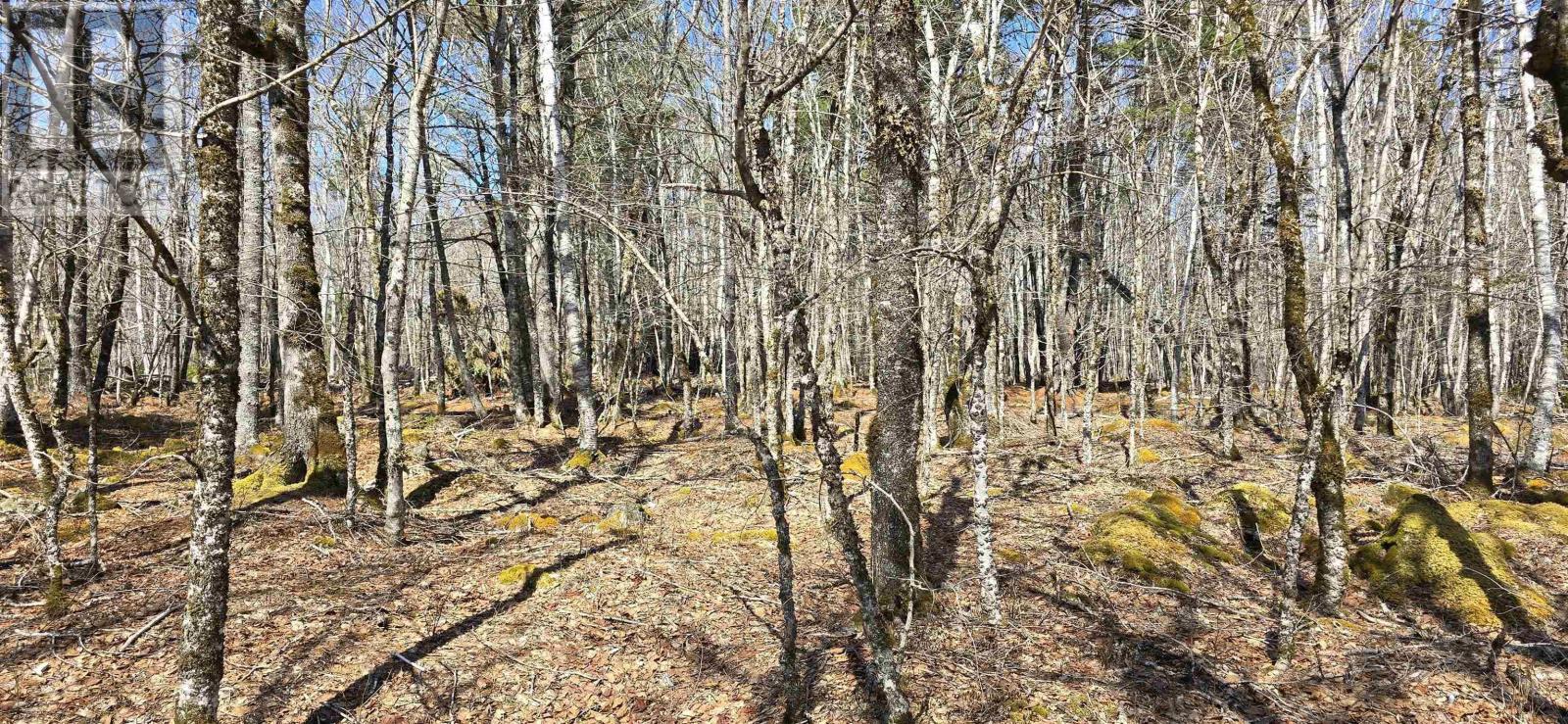 69 Sparkling Spring Lane, Labelle, Nova Scotia  B0T 1E0 - Photo 10 - 202506925