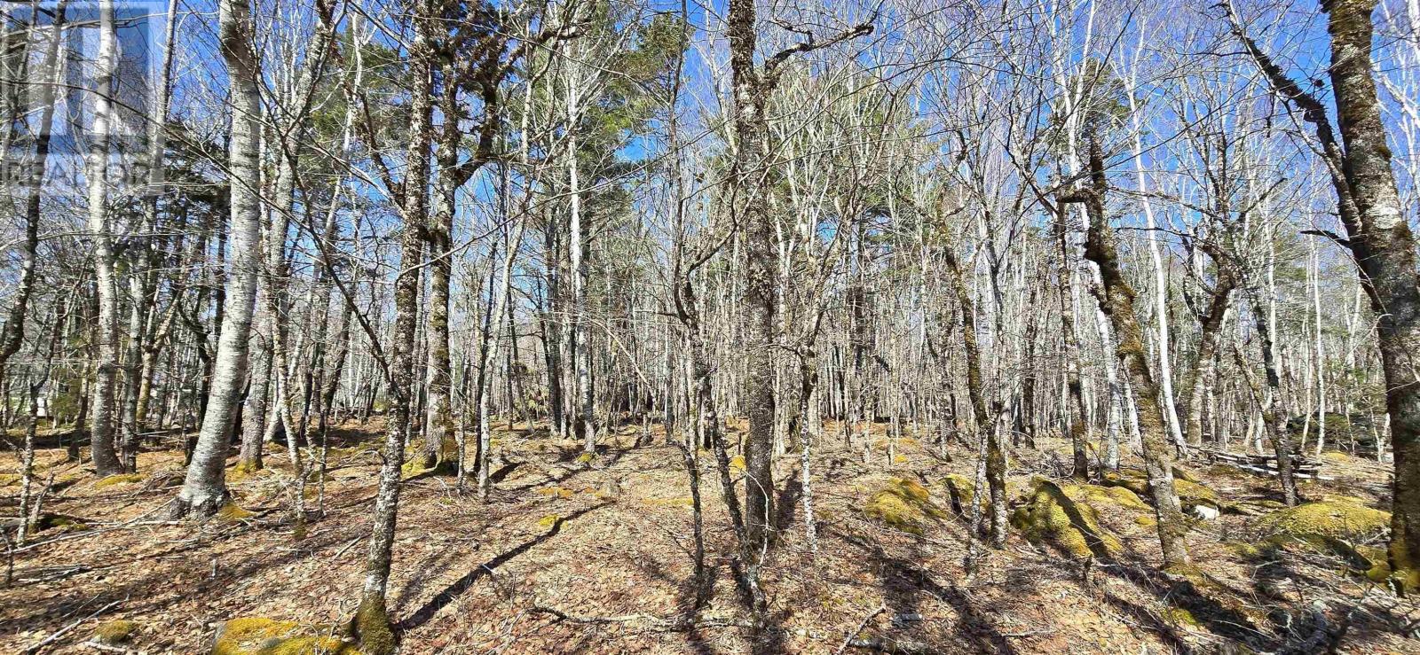 69 Sparkling Spring Lane, Labelle, Nova Scotia  B0T 1E0 - Photo 11 - 202506925