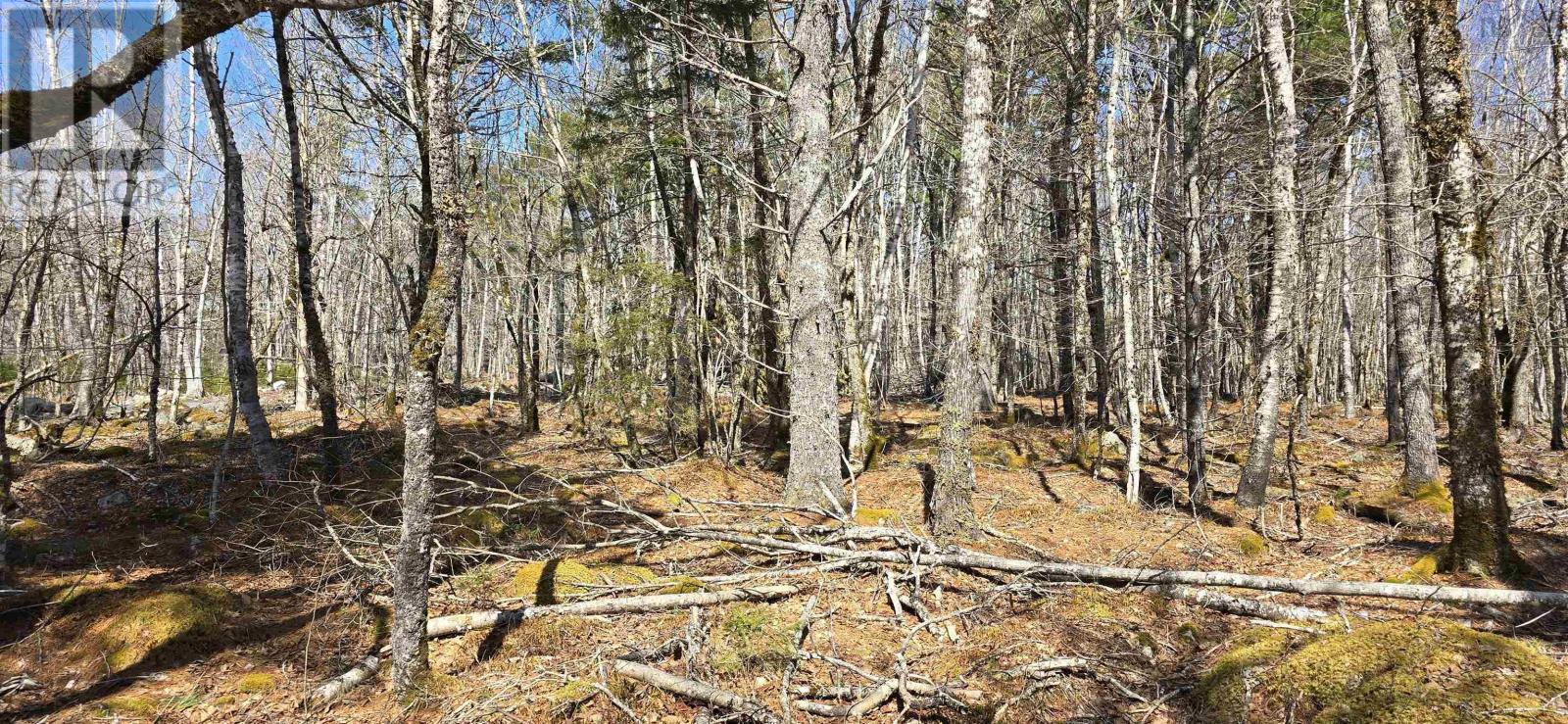 69 Sparkling Spring Lane, Labelle, Nova Scotia  B0T 1E0 - Photo 14 - 202506925