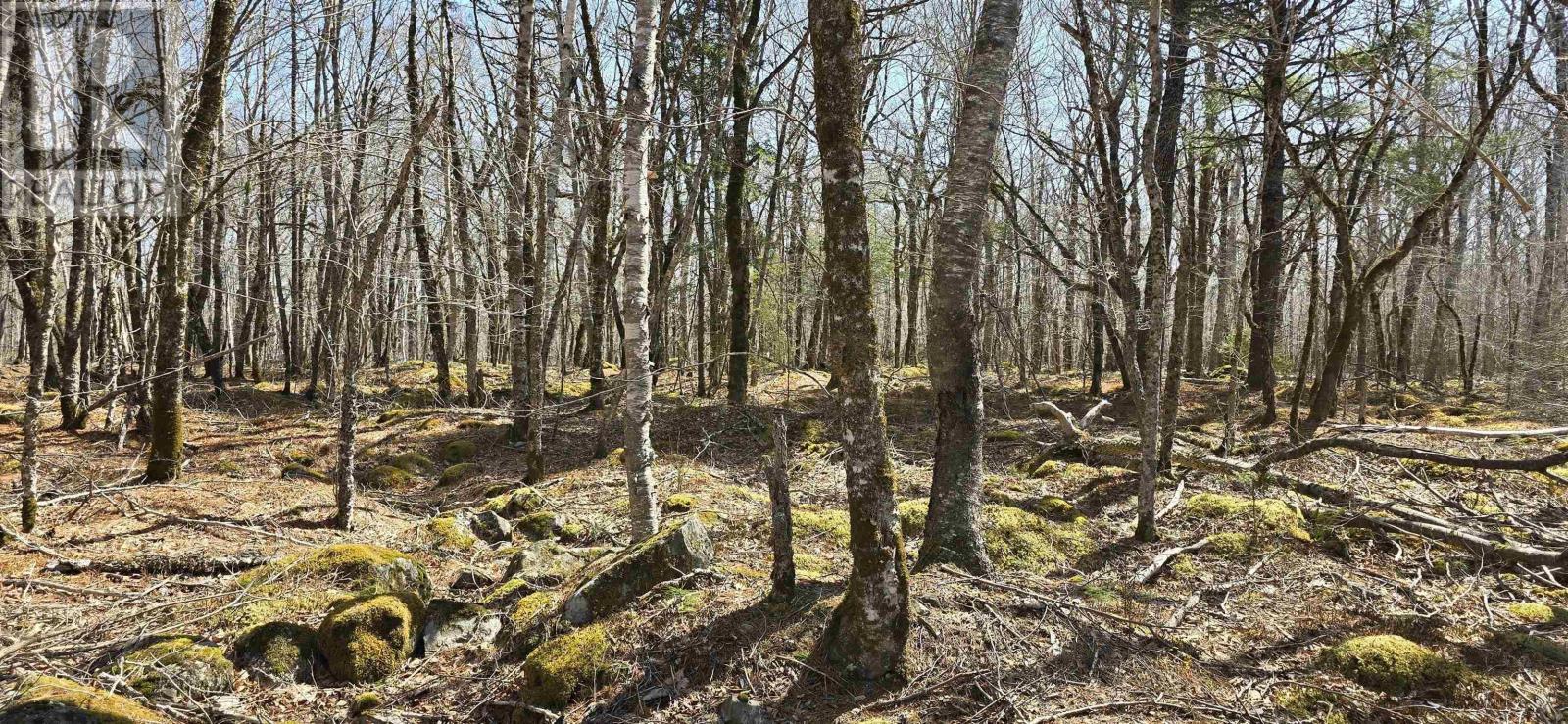 69 Sparkling Spring Lane, Labelle, Nova Scotia  B0T 1E0 - Photo 20 - 202506925