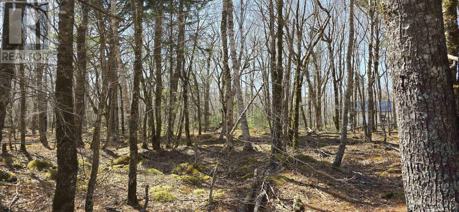 69 Sparkling Spring Lane, Labelle, Nova Scotia  B0T 1E0 - Photo 22 - 202506925