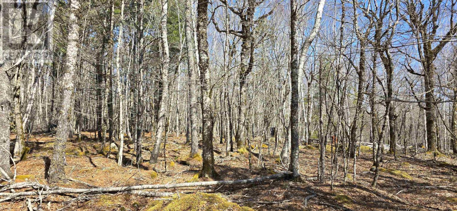 69 Sparkling Spring Lane, Labelle, Nova Scotia  B0T 1E0 - Photo 13 - 202506925