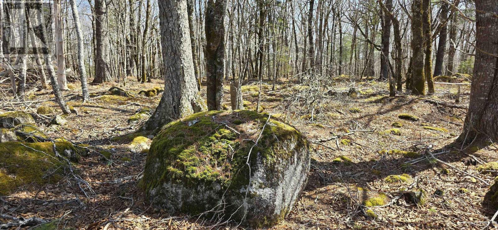 69 Sparkling Spring Lane, Labelle, Nova Scotia  B0T 1E0 - Photo 19 - 202506925