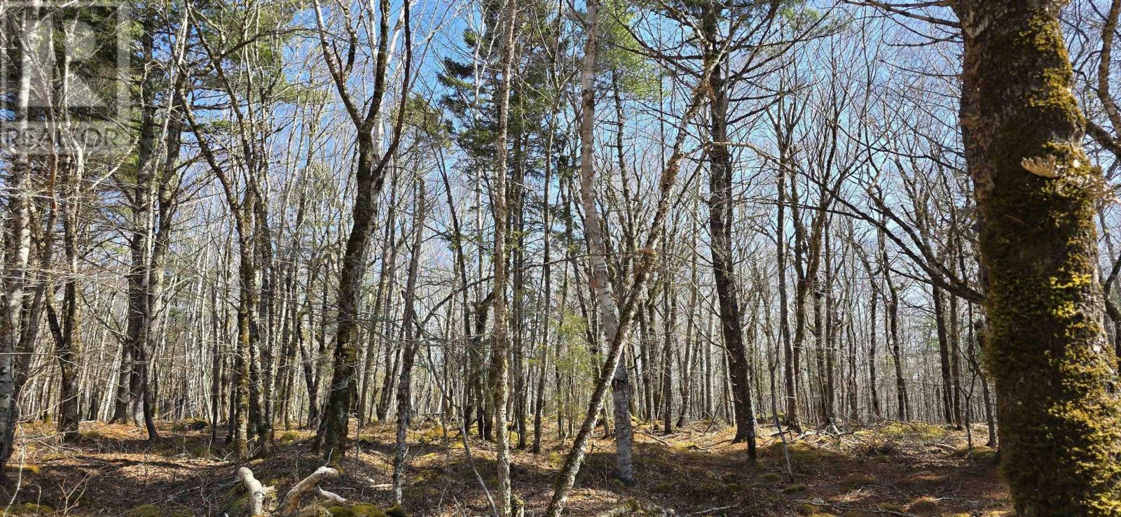 69 Sparkling Spring Lane, Labelle, Nova Scotia  B0T 1E0 - Photo 16 - 202506925