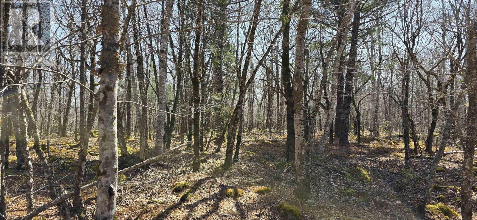 69 Sparkling Spring Lane, Labelle, Nova Scotia  B0T 1E0 - Photo 21 - 202506925