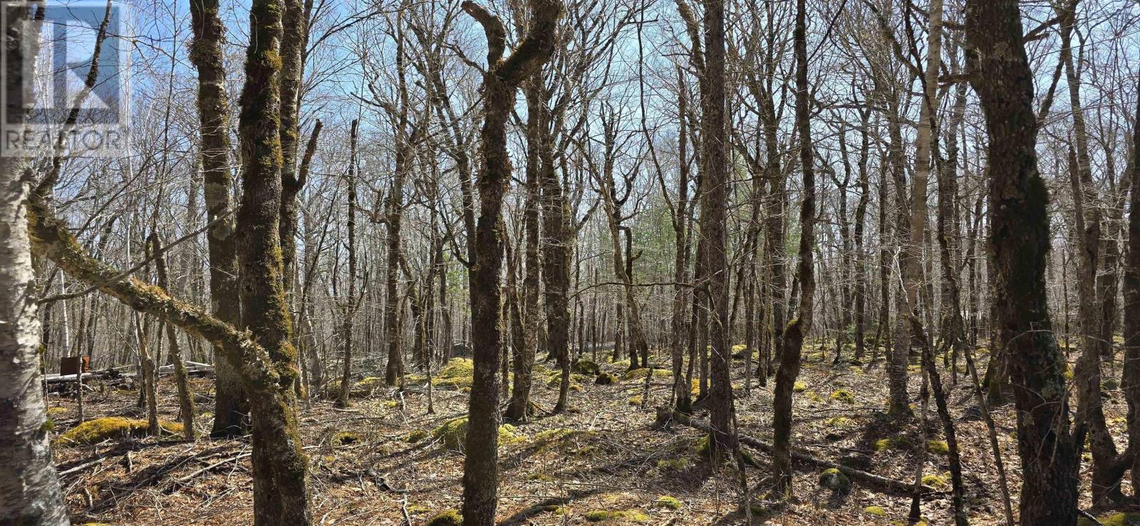 69 Sparkling Spring Lane, Labelle, Nova Scotia  B0T 1E0 - Photo 23 - 202506925