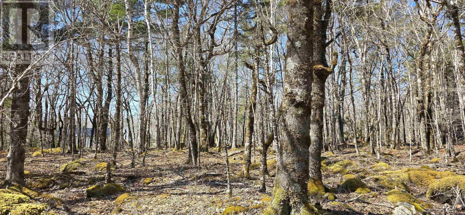 69 Sparkling Spring Lane, Labelle, Nova Scotia  B0T 1E0 - Photo 8 - 202506925