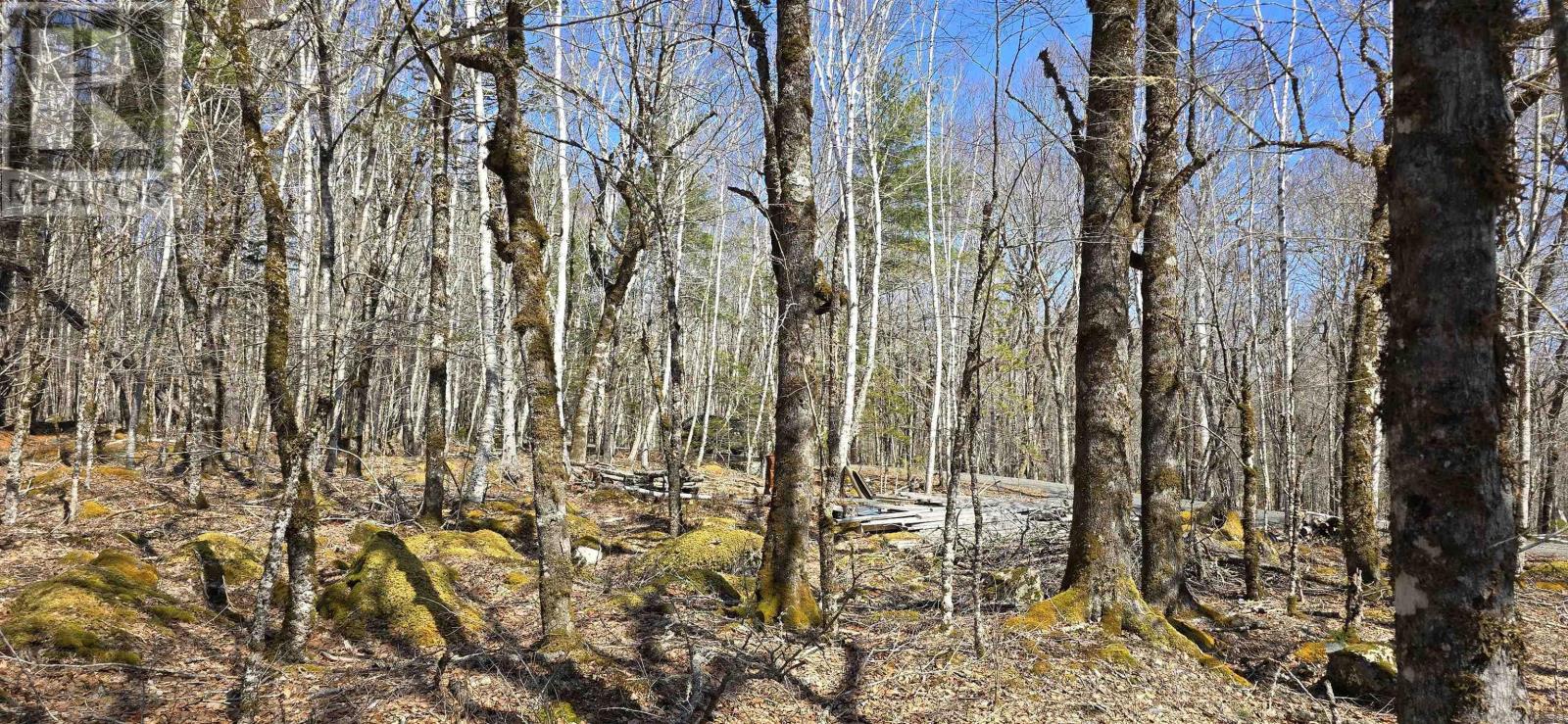 69 Sparkling Spring Lane, Labelle, Nova Scotia  B0T 1E0 - Photo 9 - 202506925