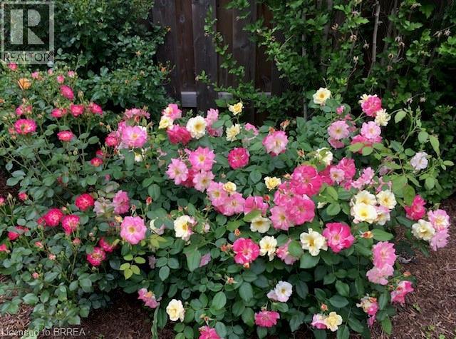 1 Daffodil Court, Brantford, Ontario  N3R 7T1 - Photo 46 - 40816674