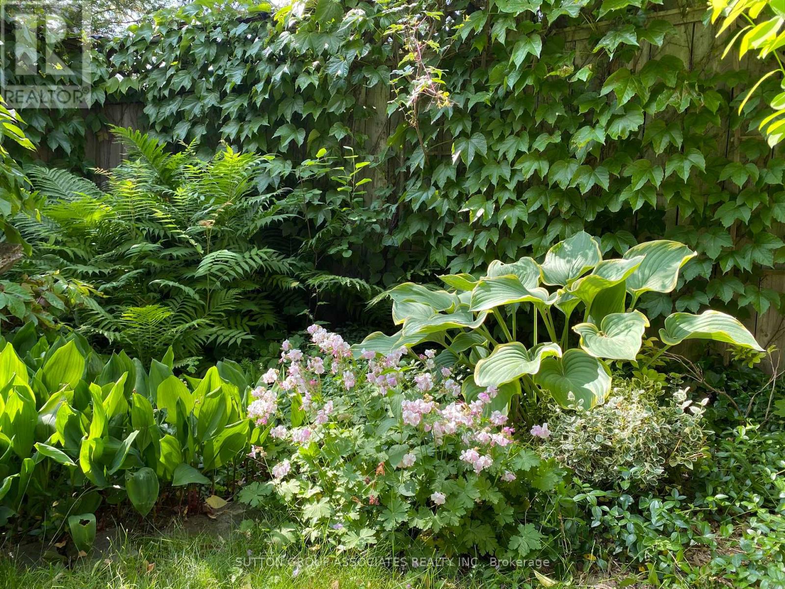 50 Thornhill Avenue, Toronto, Ontario  M6S 4C5 - Photo 43 - W12963034