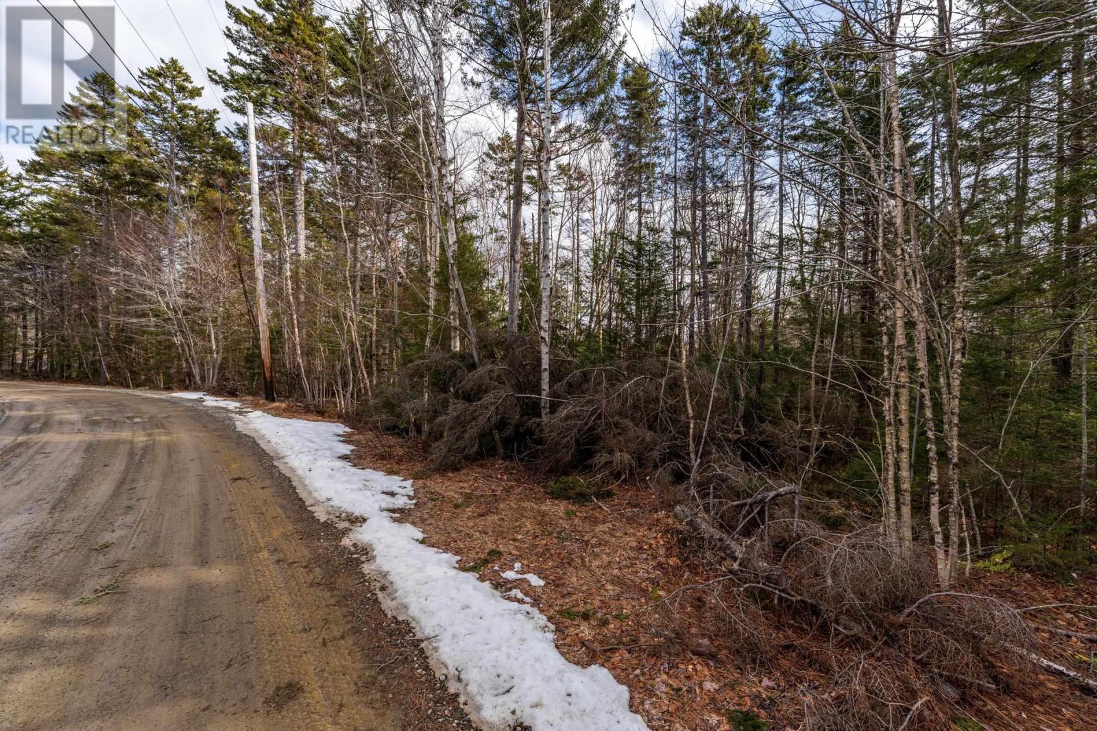 Lot Cja Road, Concession, Nova Scotia  B0W 1M0 - Photo 5 - 202605206