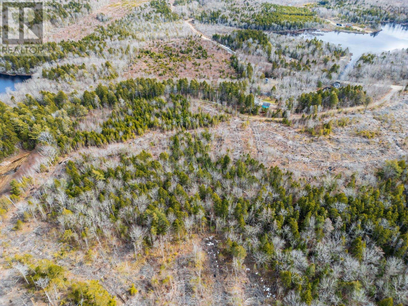 Lot Cja Road, Concession, Nova Scotia  B0W 1M0 - Photo 14 - 202605206