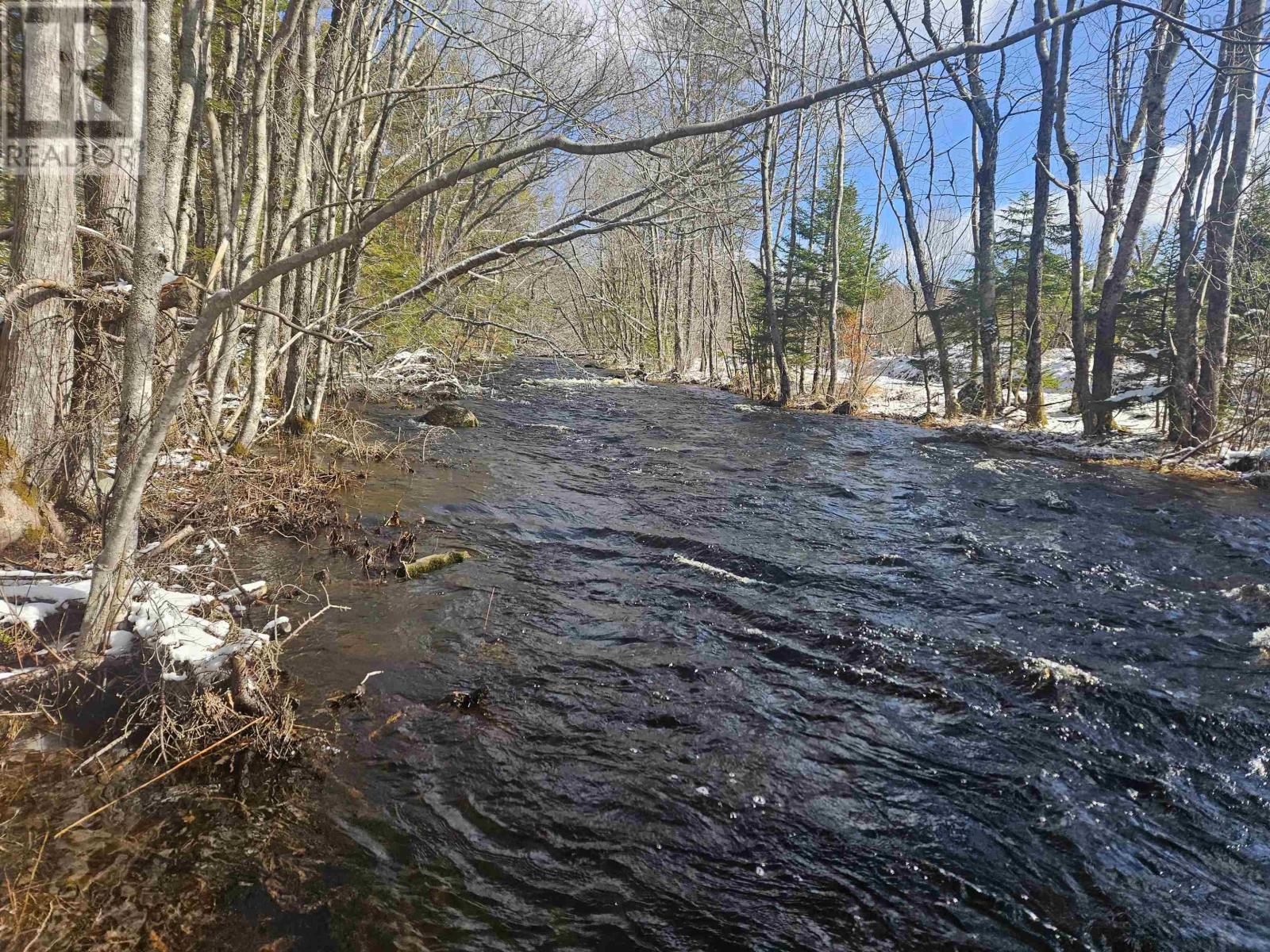 Lot Cja Road, Concession, Nova Scotia  B0W 1M0 - Photo 16 - 202605206