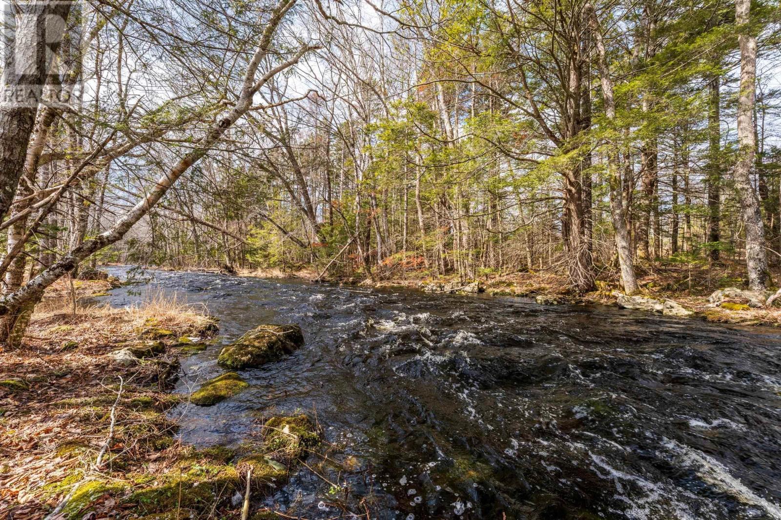 Lot Cja Road, Concession, Nova Scotia  B0W 1M0 - Photo 17 - 202605206